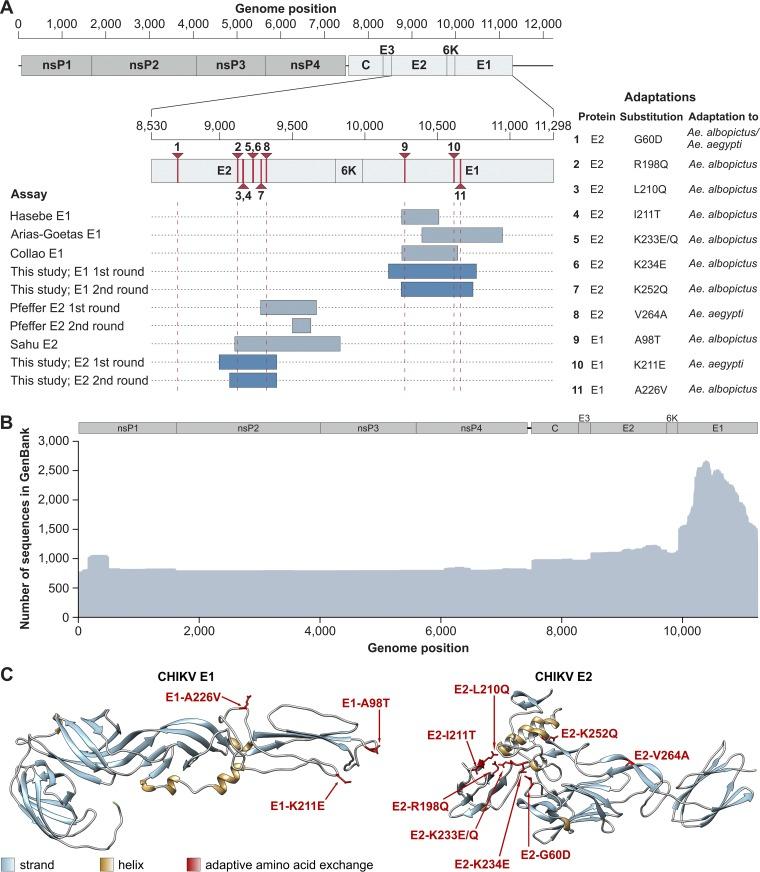 https://cdn.ncbi.nlm.nih.gov/pmc/blobs/b381/6609226/c419ec84cda8/mSphere.00295-19-f0001.jpg