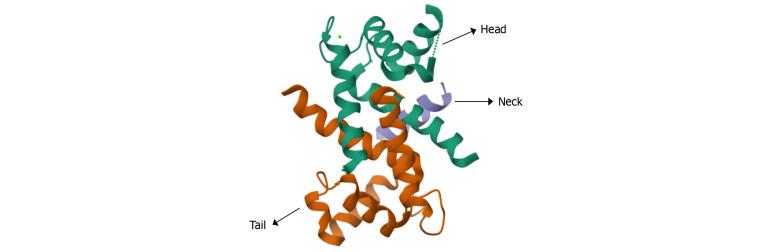 https://cdn.ncbi.nlm.nih.gov/pmc/blobs/b384/12179916/5c456386e5d1/wjgo-17-6-106617-g001.jpg