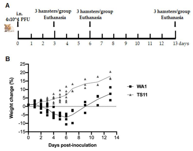 https://cdn.ncbi.nlm.nih.gov/pmc/blobs/b384/9867033/6f3059dab43c/viruses-15-00095-g003a.jpg