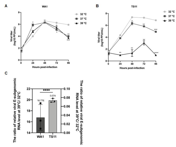https://cdn.ncbi.nlm.nih.gov/pmc/blobs/b384/9867033/7d9dc70de792/viruses-15-00095-g002.jpg