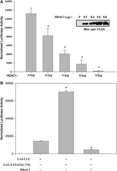 https://cdn.ncbi.nlm.nih.gov/pmc/blobs/b387/2490754/ad293d66904b/gkn419f1.jpg