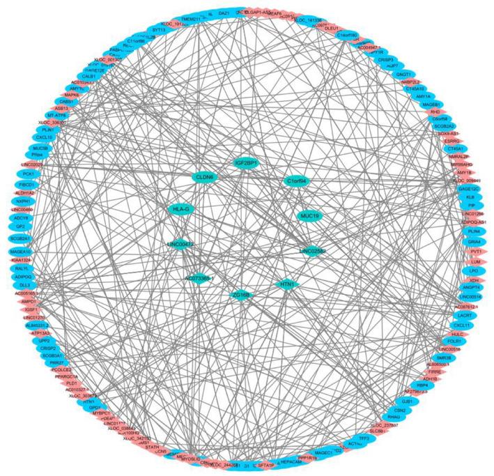 https://cdn.ncbi.nlm.nih.gov/pmc/blobs/b389/12321711/4274a1fb9a6b/12672_2025_2922_Fig4_HTML.jpg