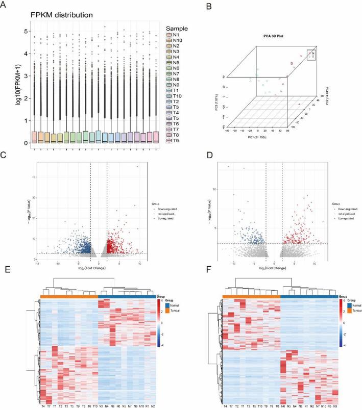 https://cdn.ncbi.nlm.nih.gov/pmc/blobs/b389/12321711/4665374f3d92/12672_2025_2922_Fig1_HTML.jpg