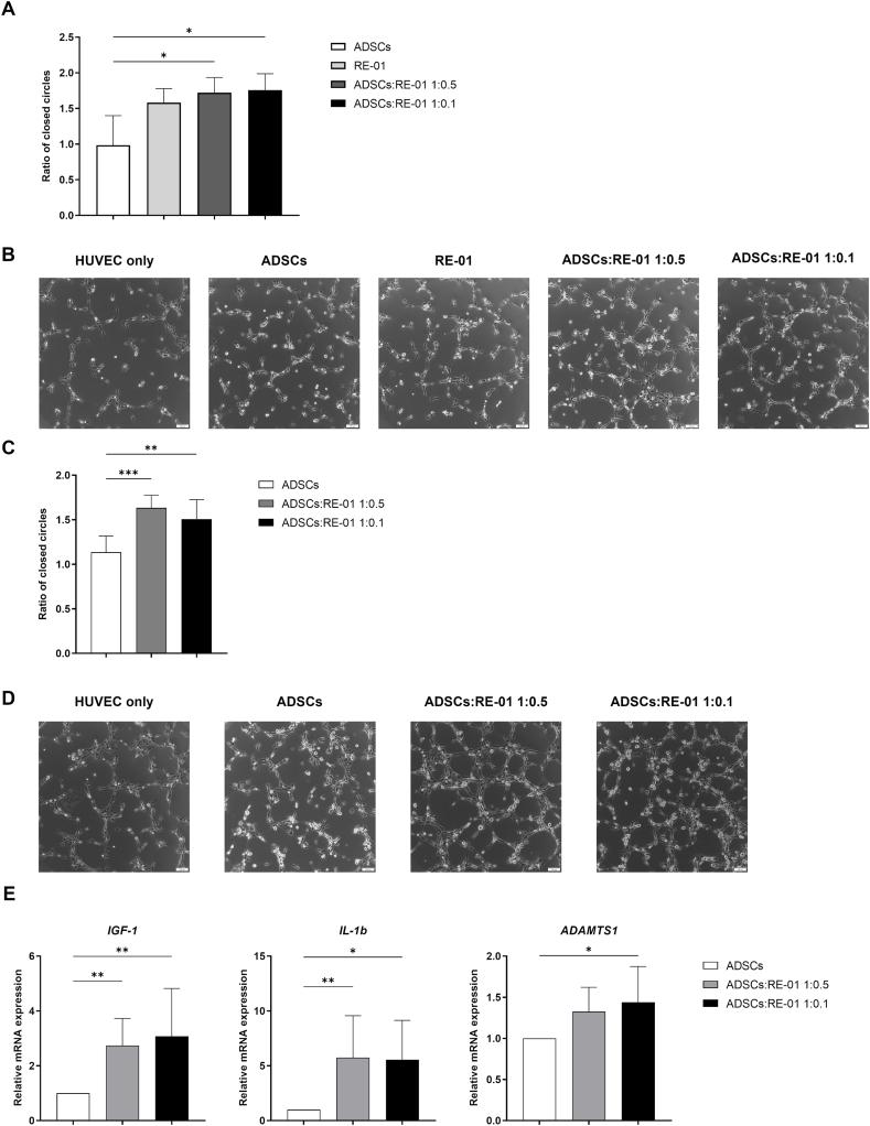 https://cdn.ncbi.nlm.nih.gov/pmc/blobs/b38a/11994943/30b3f379bf87/gr2.jpg