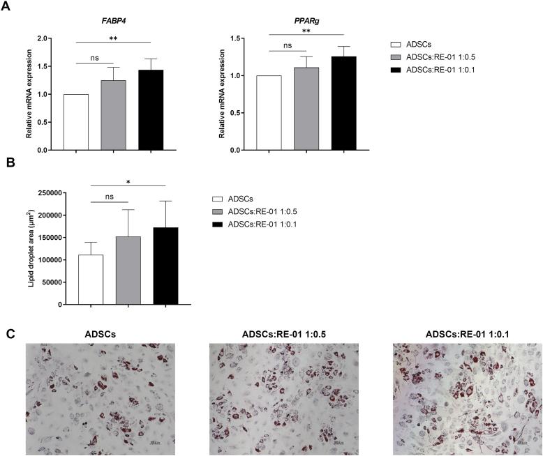 https://cdn.ncbi.nlm.nih.gov/pmc/blobs/b38a/11994943/80a3a6a93fac/gr3.jpg