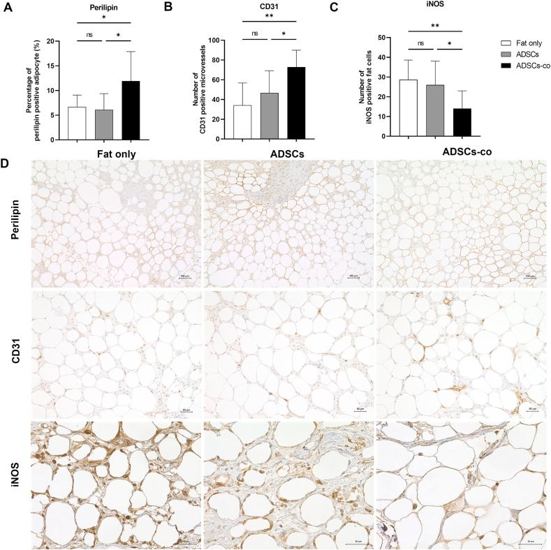 https://cdn.ncbi.nlm.nih.gov/pmc/blobs/b38a/11994943/ab5815ecee9d/gr5.jpg