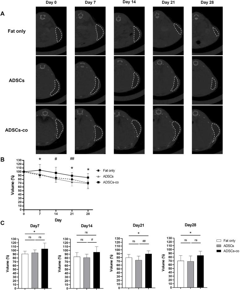 https://cdn.ncbi.nlm.nih.gov/pmc/blobs/b38a/11994943/c1dd18581e21/gr4.jpg