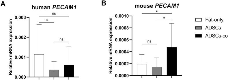 https://cdn.ncbi.nlm.nih.gov/pmc/blobs/b38a/11994943/d88828c8c293/gr6.jpg