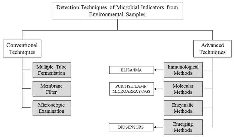 https://cdn.ncbi.nlm.nih.gov/pmc/blobs/b38a/9321031/16ade746d1be/micromachines-13-01083-g001.jpg