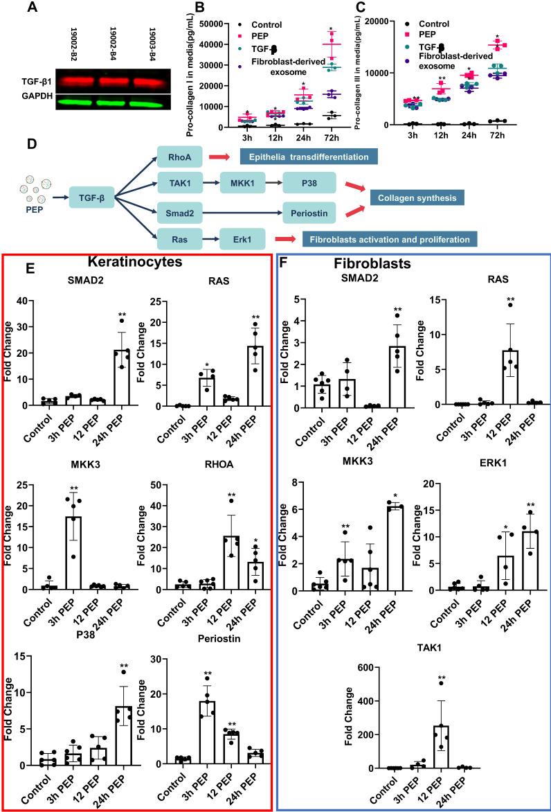 https://cdn.ncbi.nlm.nih.gov/pmc/blobs/b38b/8120220/4a9c2748a219/thnov11p6616g002.jpg
