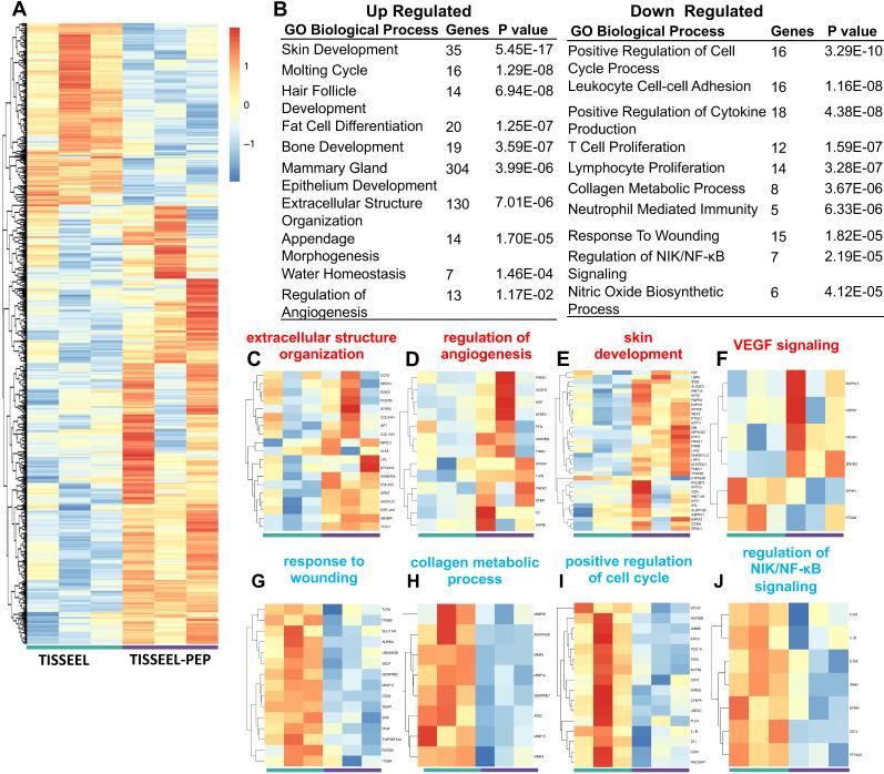 https://cdn.ncbi.nlm.nih.gov/pmc/blobs/b38b/8120220/e2825613d907/thnov11p6616g006.jpg