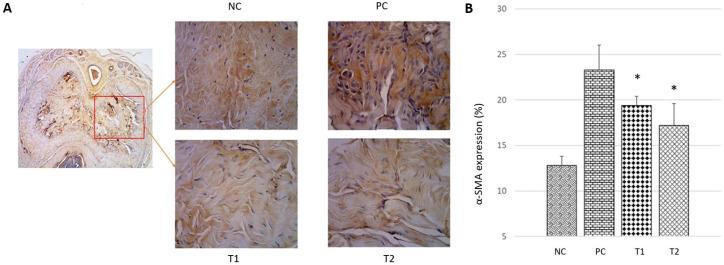 https://cdn.ncbi.nlm.nih.gov/pmc/blobs/b38e/8976889/0c9fb35cc594/medarch-76-4-g003.jpg