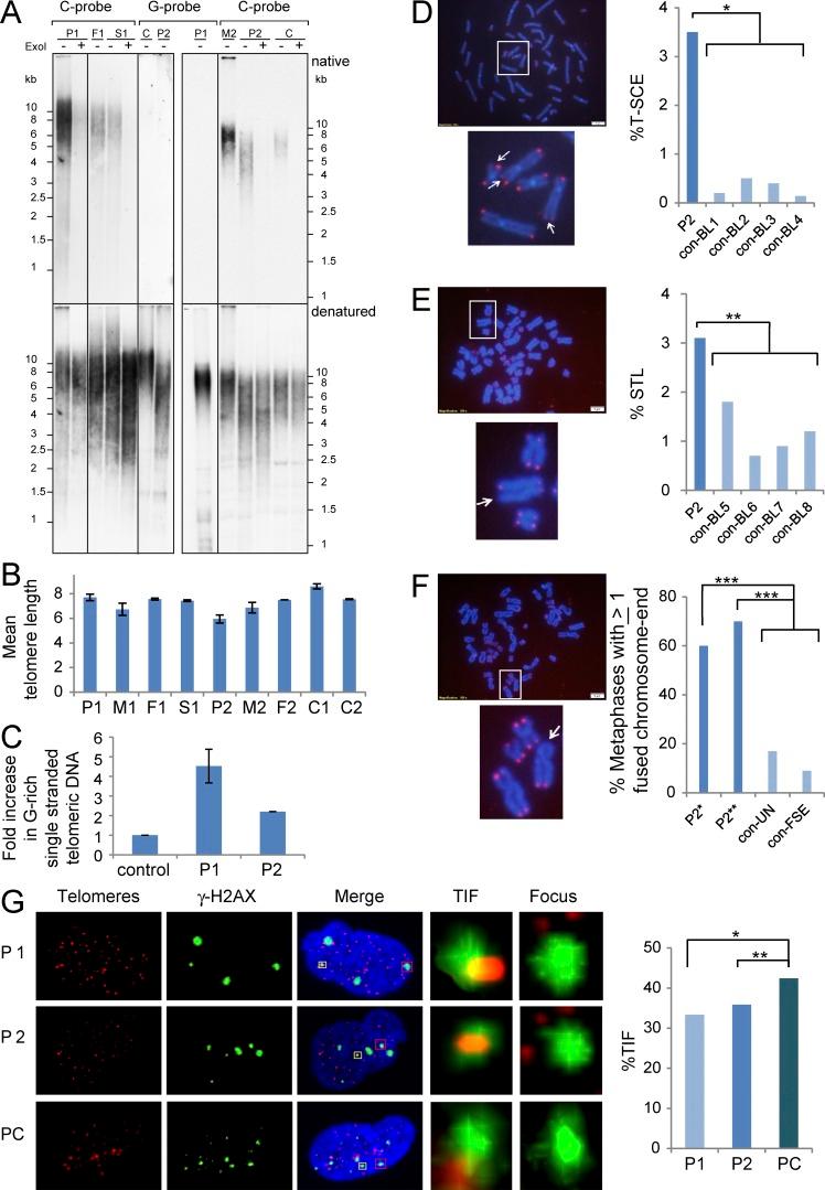 https://cdn.ncbi.nlm.nih.gov/pmc/blobs/b390/4986528/af05c4429515/JEM_20151618_Fig3.jpg