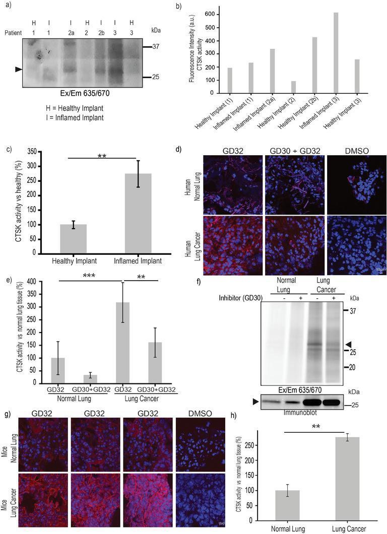 https://cdn.ncbi.nlm.nih.gov/pmc/blobs/b391/11481179/09cfb02b7f6f/ADVS-11-2401518-g005.jpg