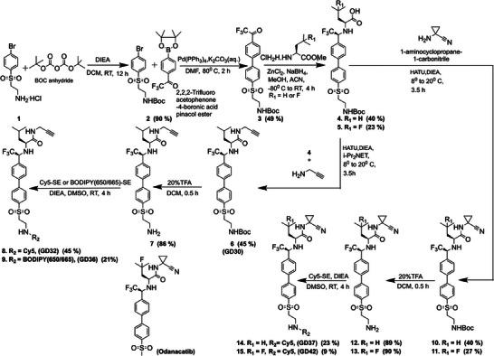 https://cdn.ncbi.nlm.nih.gov/pmc/blobs/b391/11481179/d6c216cb0d3f/ADVS-11-2401518-g007.jpg