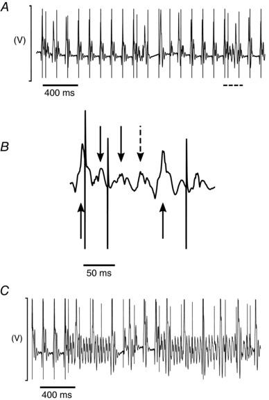 https://cdn.ncbi.nlm.nih.gov/pmc/blobs/b392/5725712/7324f76122c5/EPH-102-1619-g001.jpg
