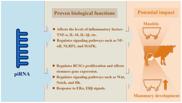 https://cdn.ncbi.nlm.nih.gov/pmc/blobs/b393/12197747/726ff09f377e/vetsci-12-00594-g003.jpg