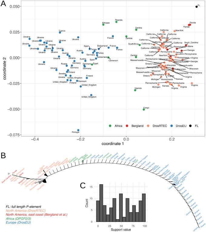 https://cdn.ncbi.nlm.nih.gov/pmc/blobs/b393/7750958/02f470b2d42f/evaa190f6.jpg