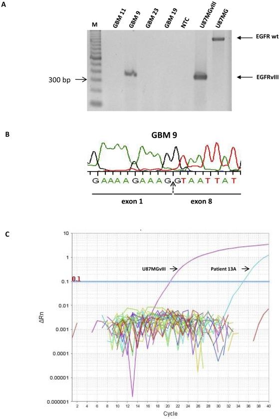 https://cdn.ncbi.nlm.nih.gov/pmc/blobs/b394/3280998/3d736ed909d3/pone.0031723.g003.jpg
