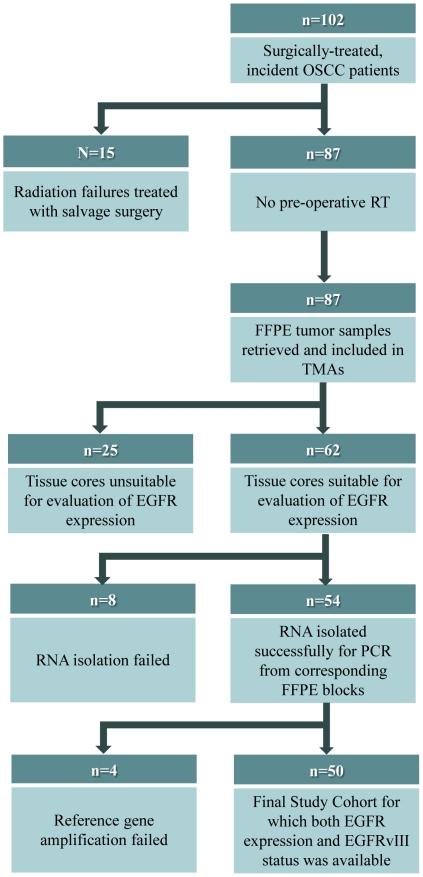 https://cdn.ncbi.nlm.nih.gov/pmc/blobs/b394/3280998/629e031f0593/pone.0031723.g001.jpg