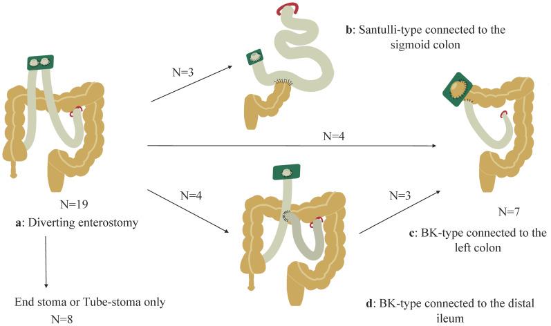 https://cdn.ncbi.nlm.nih.gov/pmc/blobs/b395/10605557/985da538aff0/biomolecules-13-01560-g002.jpg