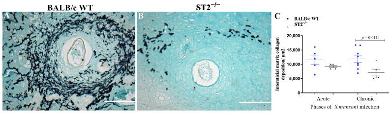 https://cdn.ncbi.nlm.nih.gov/pmc/blobs/b398/10299179/ca8427b9fa03/ijms-24-10237-g007.jpg