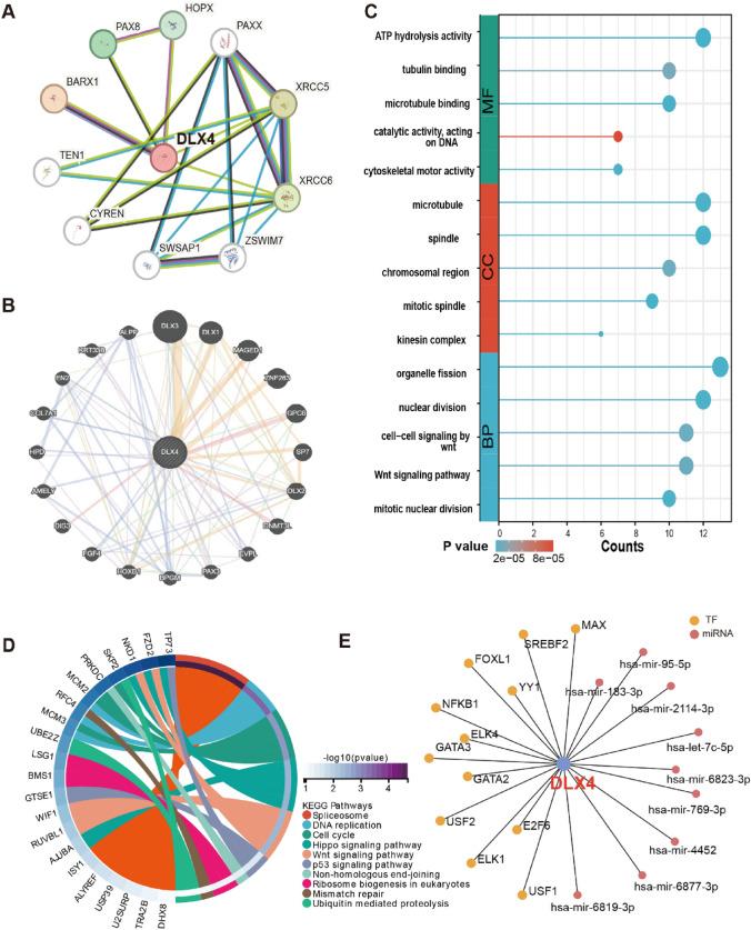 https://cdn.ncbi.nlm.nih.gov/pmc/blobs/b398/11972278/26d01ac648fd/12672_2025_2258_Fig4_HTML.jpg