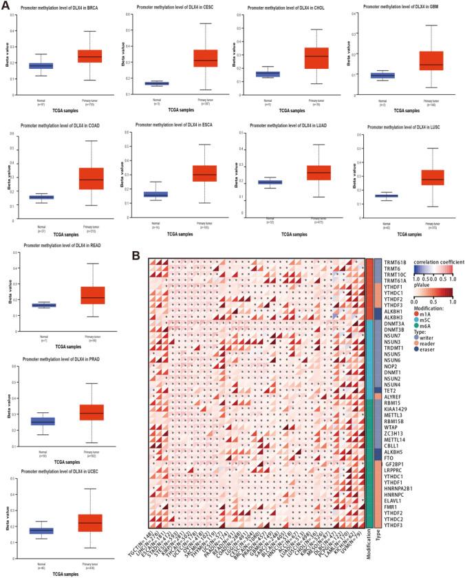 https://cdn.ncbi.nlm.nih.gov/pmc/blobs/b398/11972278/b8c1265bae64/12672_2025_2258_Fig6_HTML.jpg