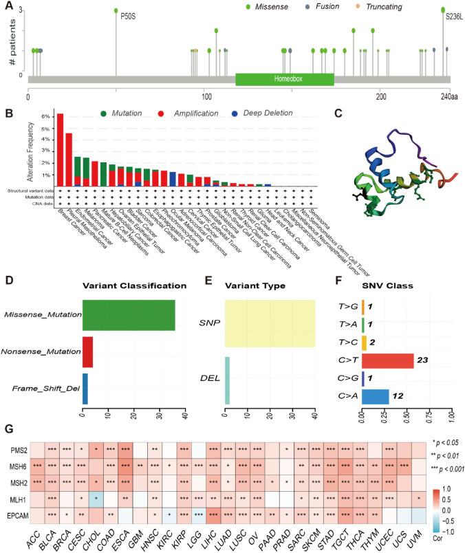 https://cdn.ncbi.nlm.nih.gov/pmc/blobs/b398/11972278/c24d2e270185/12672_2025_2258_Fig3_HTML.jpg