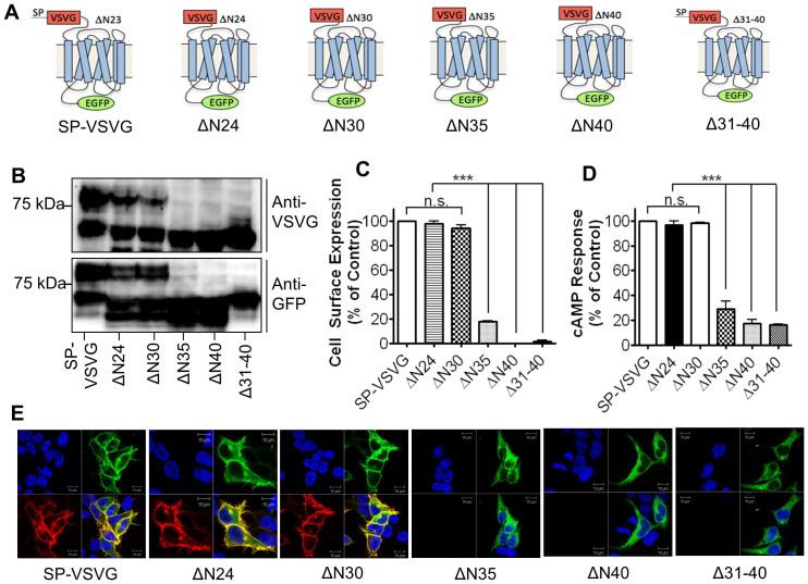 https://cdn.ncbi.nlm.nih.gov/pmc/blobs/b399/4344312/57fe9e1bad8f/srep07410-f3.jpg