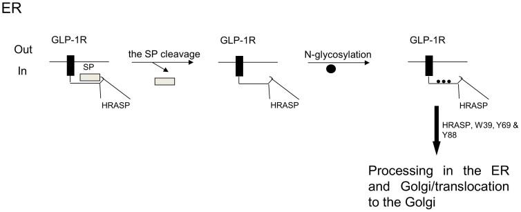 https://cdn.ncbi.nlm.nih.gov/pmc/blobs/b399/4344312/c0f64622bb94/srep07410-f8.jpg