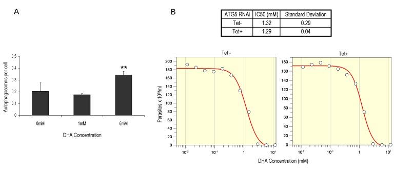 https://cdn.ncbi.nlm.nih.gov/pmc/blobs/b399/5349162/96a6638eb15d/mic-01-009-g04.jpg