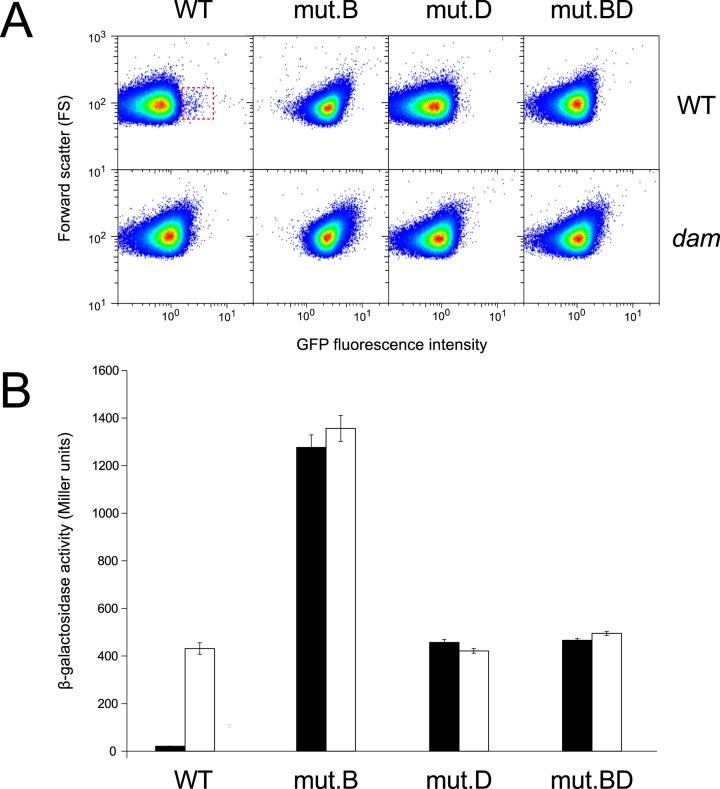 https://cdn.ncbi.nlm.nih.gov/pmc/blobs/b39a/4856963/1de1b613c07a/gkv1483fig6.jpg