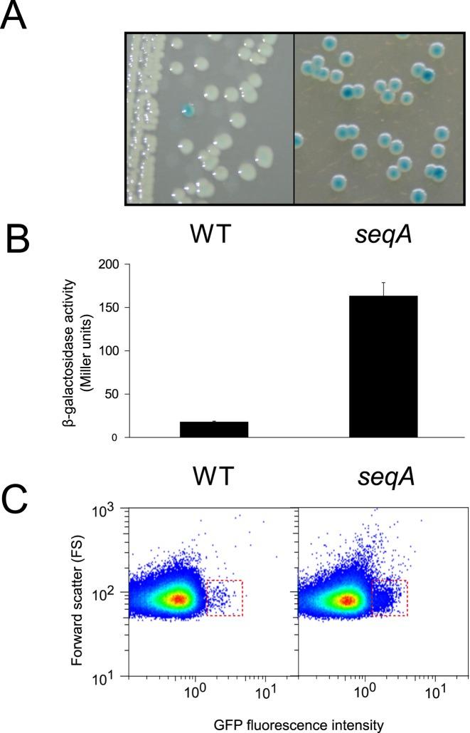 https://cdn.ncbi.nlm.nih.gov/pmc/blobs/b39a/4856963/cbcde393ab33/gkv1483fig7.jpg