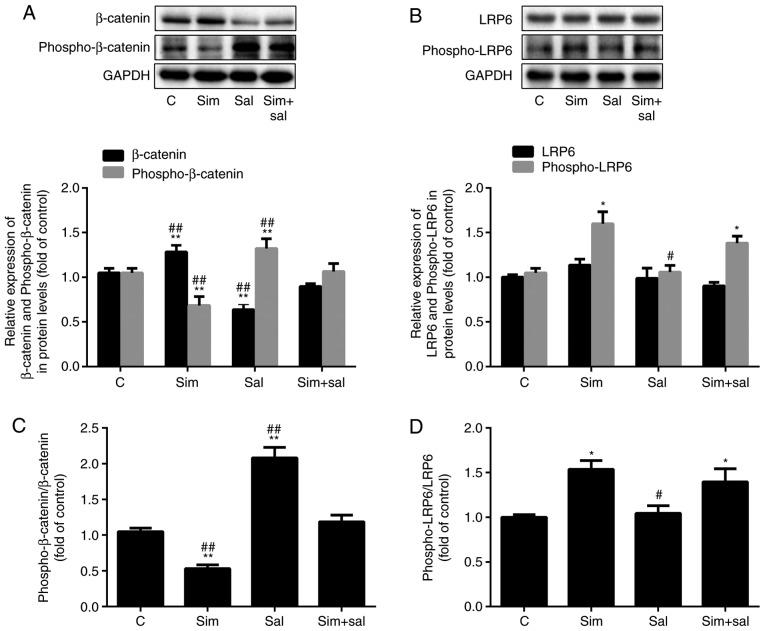 https://cdn.ncbi.nlm.nih.gov/pmc/blobs/b39a/6713427/57c099606e94/IJMM-44-04-1289-g03.jpg