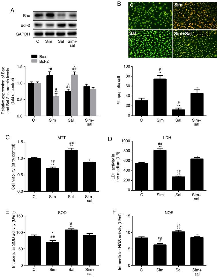 https://cdn.ncbi.nlm.nih.gov/pmc/blobs/b39a/6713427/8bfb9e0db1c9/IJMM-44-04-1289-g01.jpg