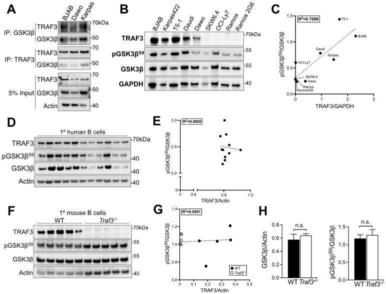 https://cdn.ncbi.nlm.nih.gov/pmc/blobs/b39a/9599470/2eec58f20397/cancers-14-05029-g001.jpg