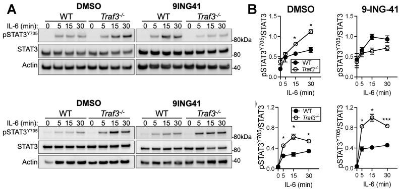 https://cdn.ncbi.nlm.nih.gov/pmc/blobs/b39a/9599470/68b4c919cb85/cancers-14-05029-g004.jpg