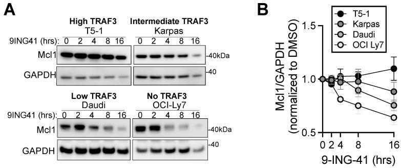 https://cdn.ncbi.nlm.nih.gov/pmc/blobs/b39a/9599470/dcf3e6b9432b/cancers-14-05029-g003.jpg