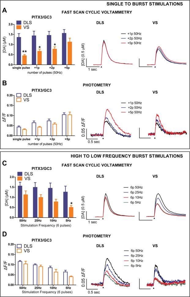 https://cdn.ncbi.nlm.nih.gov/pmc/blobs/b39b/6425036/1c71469ddad8/41598_2019_41091_Fig1_HTML.jpg