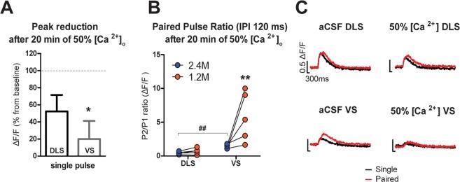 https://cdn.ncbi.nlm.nih.gov/pmc/blobs/b39b/6425036/c37ff39d1135/41598_2019_41091_Fig3_HTML.jpg