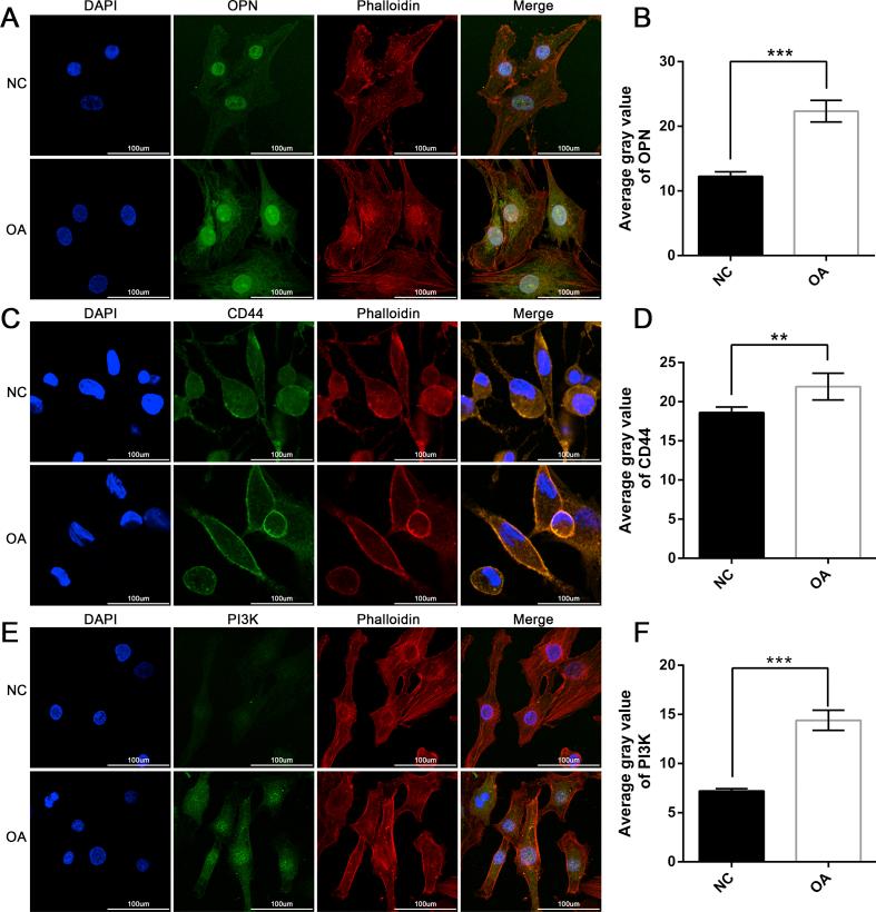 https://cdn.ncbi.nlm.nih.gov/pmc/blobs/b39f/8720673/bcb1dac5b95c/gr4.jpg
