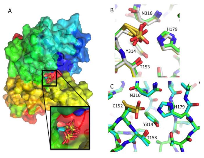 https://cdn.ncbi.nlm.nih.gov/pmc/blobs/b3a1/7447957/cfb4293133dd/wellcomeopenres-5-17846-g0005.jpg