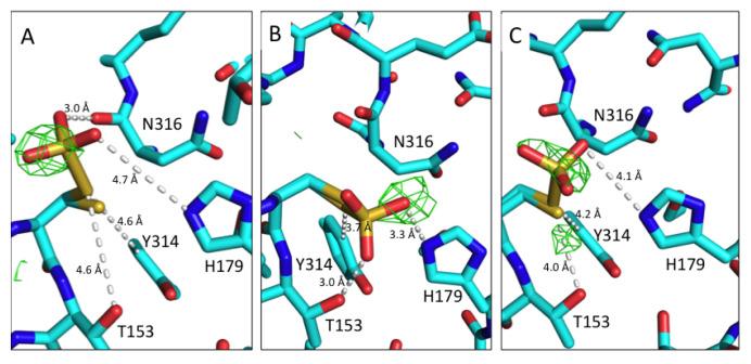 https://cdn.ncbi.nlm.nih.gov/pmc/blobs/b3a1/7447957/d11444eeb99b/wellcomeopenres-5-17846-g0004.jpg