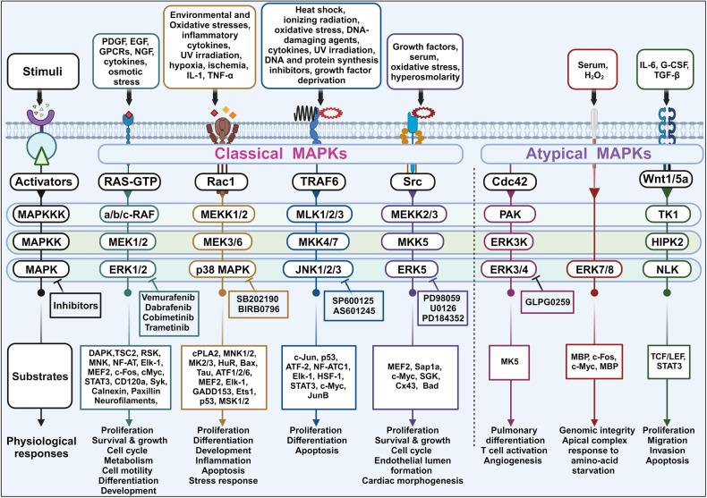 https://cdn.ncbi.nlm.nih.gov/pmc/blobs/b3a3/10725898/a590b41216f9/41392_2023_1705_Fig2_HTML.jpg