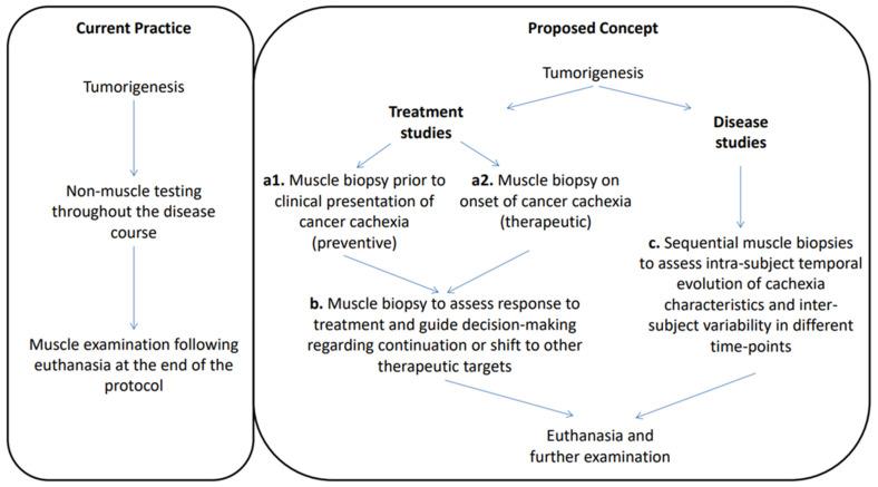 https://cdn.ncbi.nlm.nih.gov/pmc/blobs/b3a4/10931110/b873ff15b063/cancers-16-01075-g003.jpg