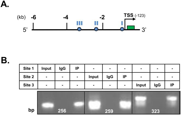 https://cdn.ncbi.nlm.nih.gov/pmc/blobs/b3a4/5017789/041296e600c5/pone.0162504.g008.jpg