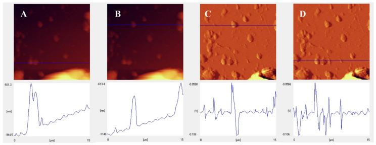 https://cdn.ncbi.nlm.nih.gov/pmc/blobs/b3a6/8615380/73d8a502ba1b/biomolecules-11-01714-g003.jpg