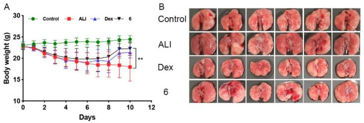 https://cdn.ncbi.nlm.nih.gov/pmc/blobs/b3a9/10933920/f4c67214a1ab/molecules-29-00936-g004.jpg
