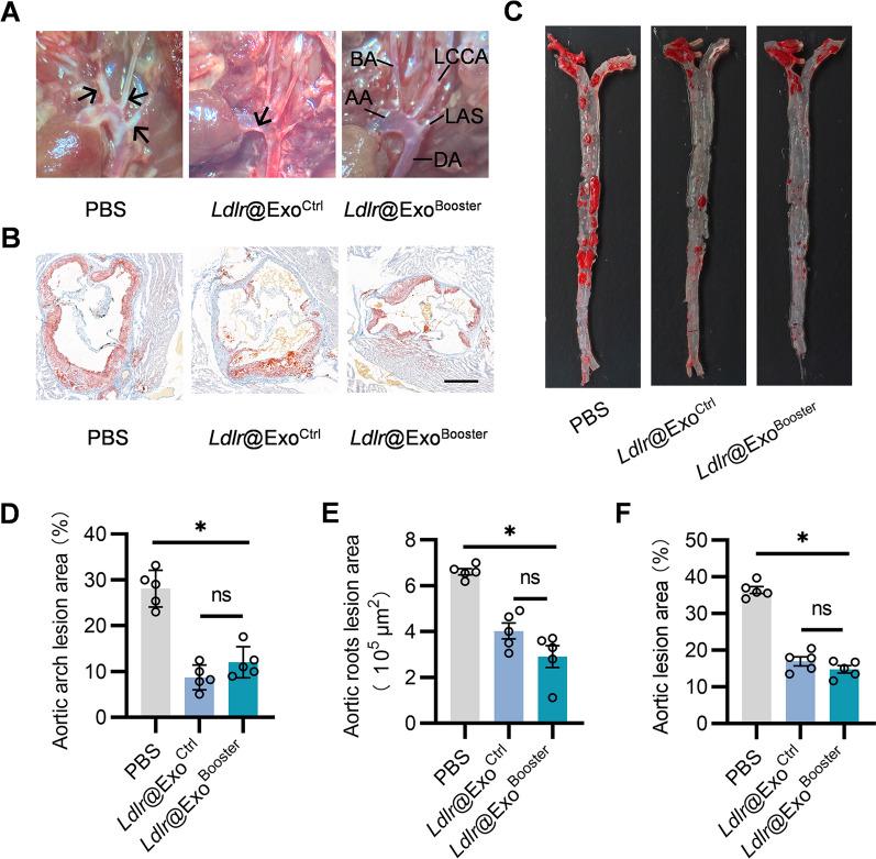 https://cdn.ncbi.nlm.nih.gov/pmc/blobs/b3ac/9618217/3d95a7965d77/12951_2022_1668_Fig8_HTML.jpg